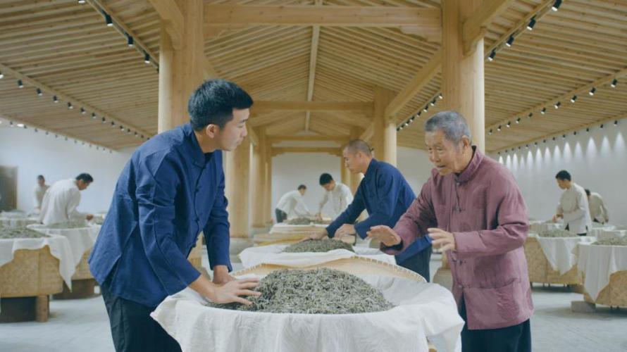 白茶在福鼎"的美誉更好地传承下去,福鼎茶人们在种植和工艺上不断地