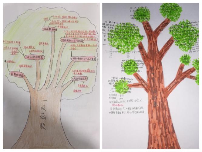 同学们心里的"知识树"
