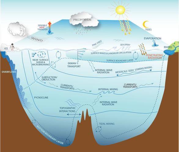 关于海洋环境的一些研究