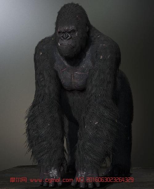 金刚黑猩猩3d模型