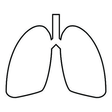 肺人体图标轮廓黑色矢量插图平面样式简单图像.