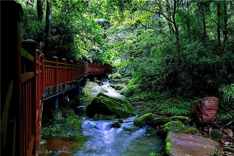达州市宣汉县月亮坪森林康养旅游度假区开建