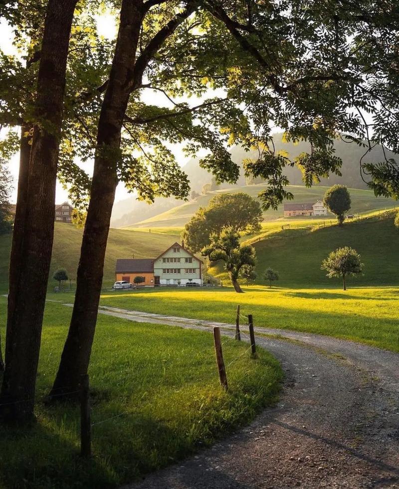 这样的早晨阳光草地小河村落高山之下树荫之畔悠然散步也是在风景之中
