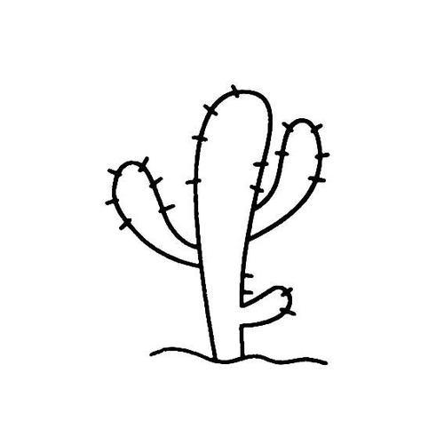 仙人掌的画法沙漠里的仙人掌植物简笔画