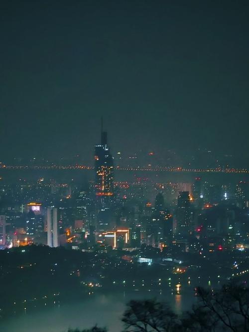 南京紫金山夜景氛围感绝了##我的日常plog