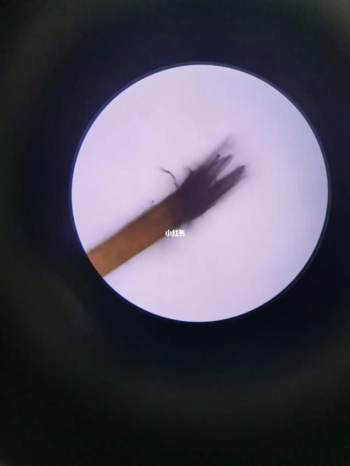病理实验课揪了丟分叉的头发在显微镜下看太有趣了哈哈哈#头发分叉