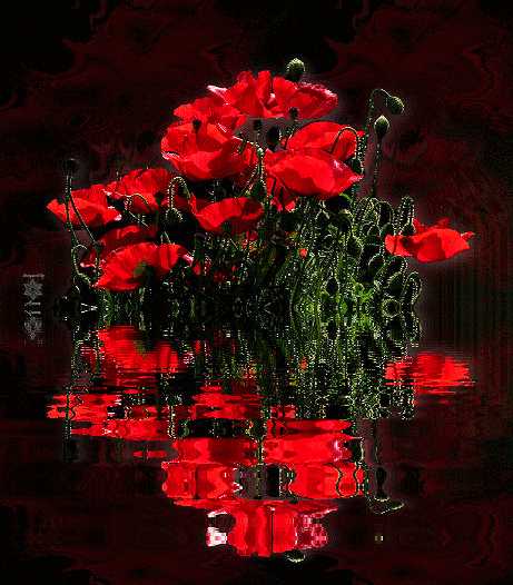 【图】玫瑰11.gif_红叶叶红的收集_我喜欢网