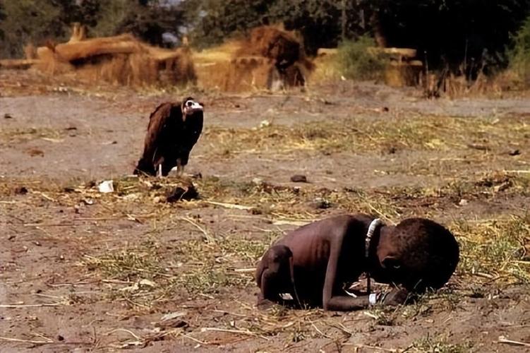 《饥饿的苏丹》 凯文·卡特作品时间追溯到上世纪八十年代开始,非洲