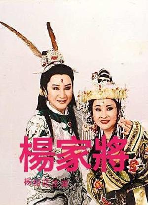 电视剧 / 古装 / 戏曲杨丽花 /许秀年1982中国台湾开播看过简介歌仔戏