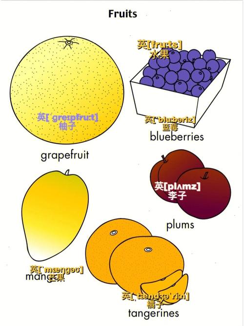 yummytherearesomanyfruits