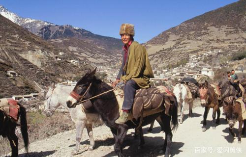 云南省德钦县的乡间小路上的西藏马帮