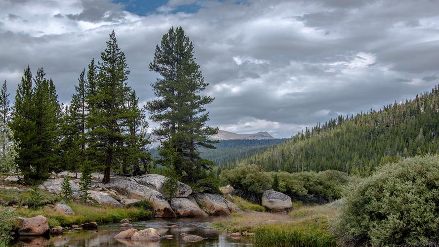 壁纸 优胜美地国家公园,树木,云彩,山脉,加州,美国