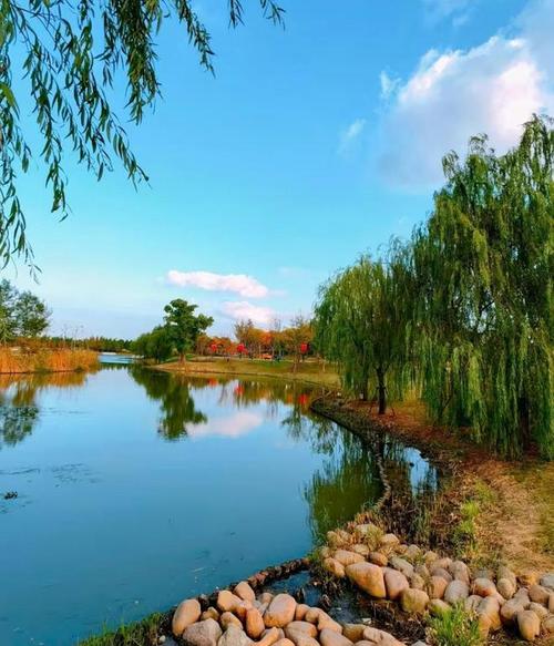 上海浦东金桥涟动公园令人心动|湖畔|风景|自然景观_网易订阅