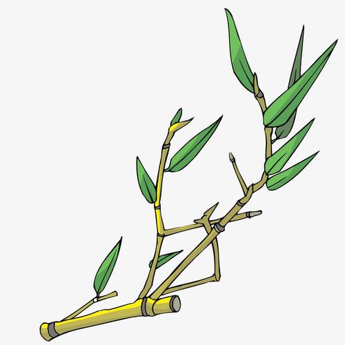 卡通图片手绘竹子