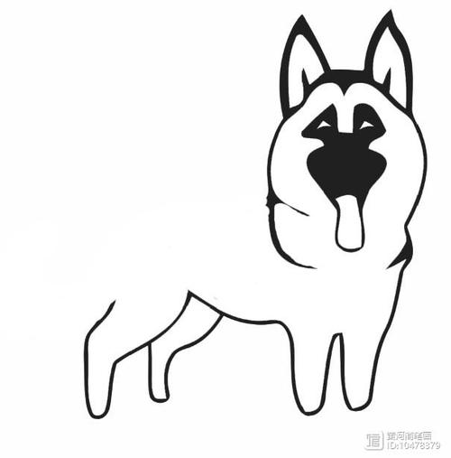 【简笔画】狼狗的简笔画 分步画法