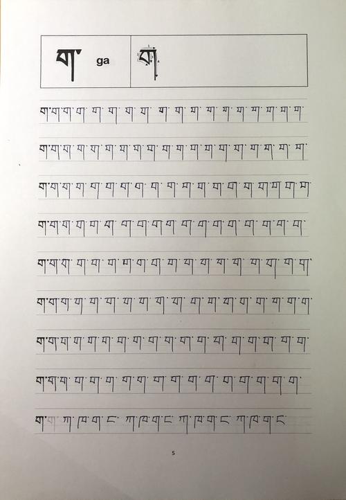 318藏文字母班第一课后作业