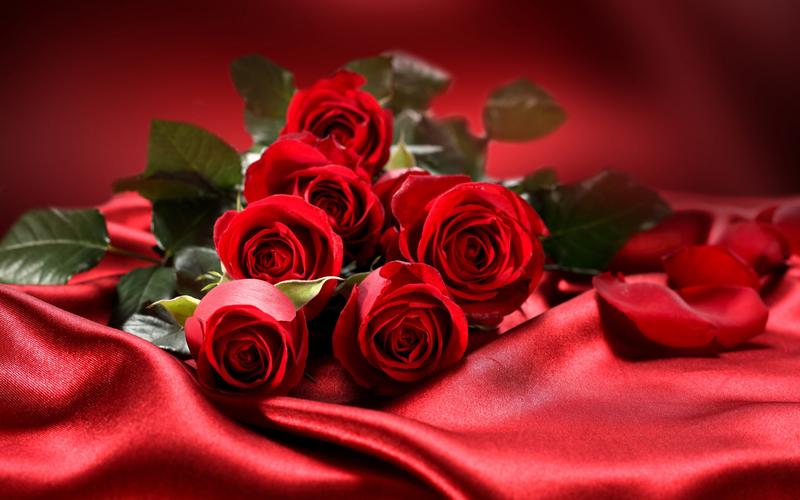 一束鲜花红玫瑰爱情情人节