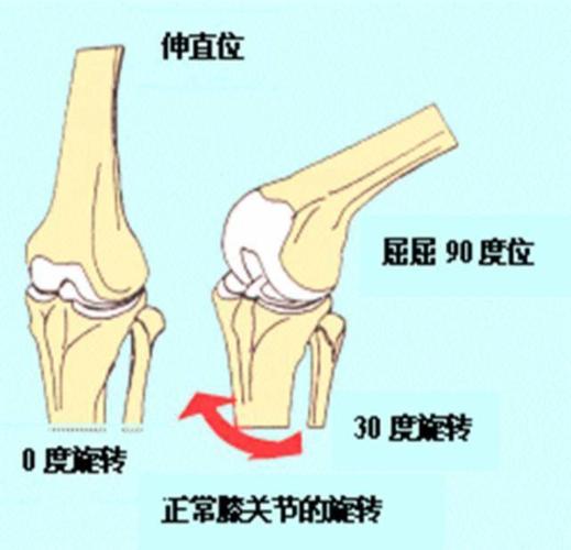 5种可以强化膝关节的运动,预防膝关节损伤!