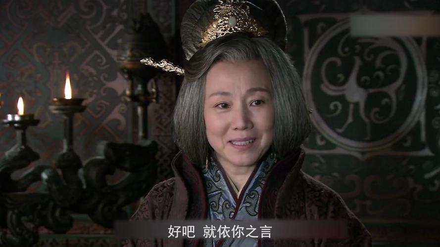 新三国吴国太嫁刘备只有孙小妹一人反对