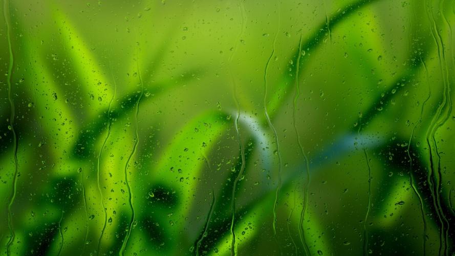 磨砂玻璃,小草,水滴,绿色壁纸