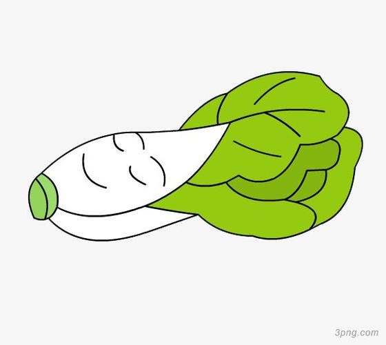 标签:青菜卡通绿色青菜绿色蔬菜青菜水果健康卡通动画片蔬菜青菜一堆