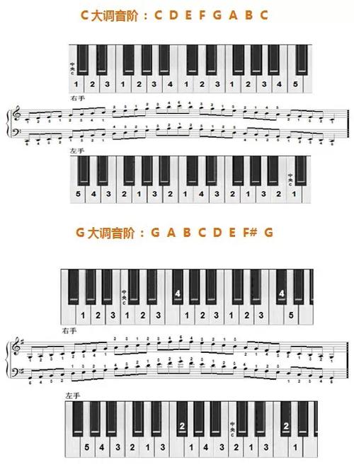 12个大调音阶及左右手指法图示 - 钢琴奶爸的blog