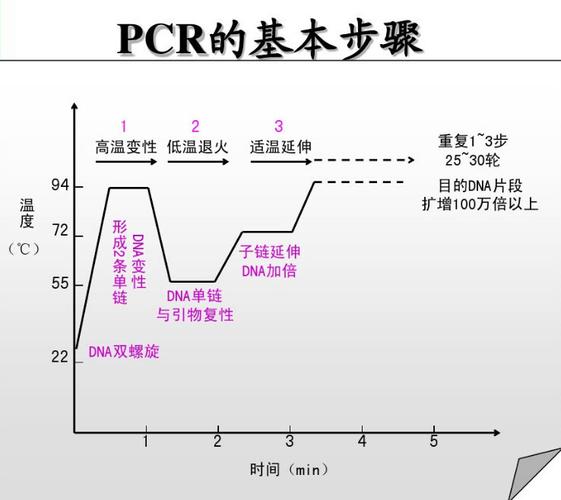 pcr反应中的强大新技术:让基因分析变得更快更便宜