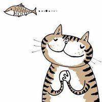 猫咪抱着鱼的头像卡通_微信头像图片大全