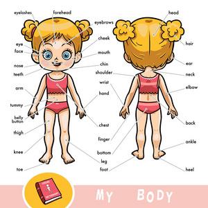 词典儿童关于人体的视觉词典.我的身体部分为女孩照片