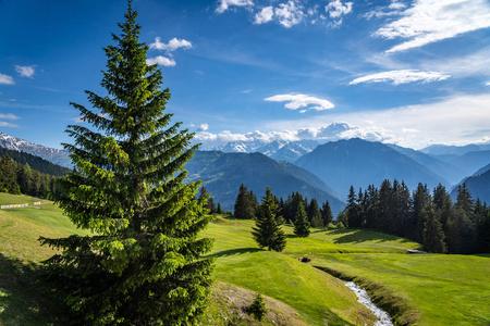 美丽的风景风景在瑞士阿尔卑斯.