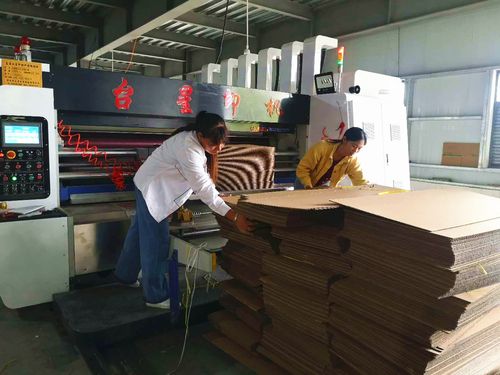 图为石阡县国荣乡纸箱包装厂工人们正在进行排版,印刷等工序.jpg