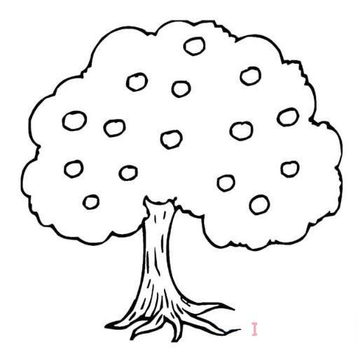 果树的画法步骤图简单 果树简笔画图片