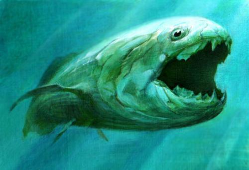 泥盆纪时曾盛极一时的霸主鱼之一,恐鱼属于泥盆纪常见的盾皮鱼类,是