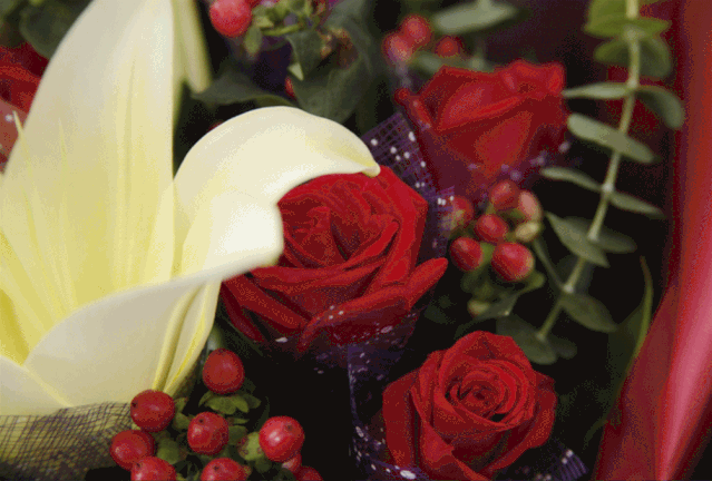 玫瑰,月季,满天星,百合……听说,情人节和鲜花更配哦鲜花助甜蜜升级据