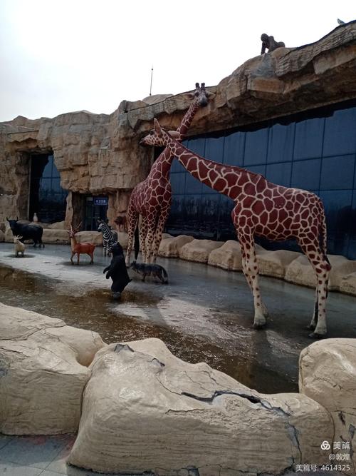 2021年寒假末游记---黄河三角洲动物园
