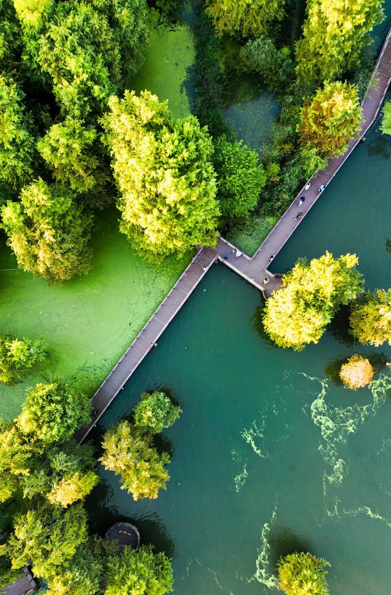 杭州青山湖水上森林公园  隐匿的绿野仙踪.在杭州的临安没想到 - 抖音