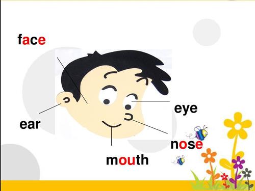 face eye ear nose mouth
