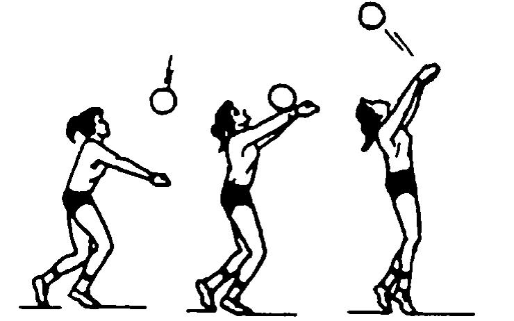 背向垫球,如图10-17所示(6)手臂角度:要根据接球人距球网的距离远近和