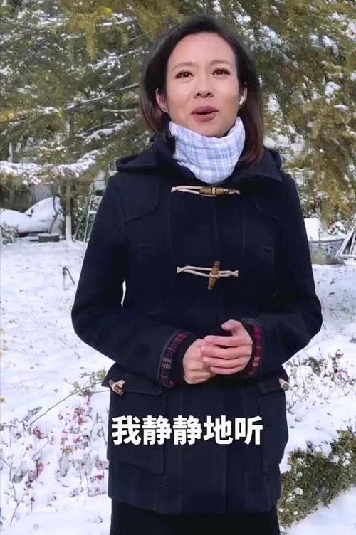 新闻联播美女主播宝晓峰46岁仍未婚单身情系家乡内蒙古