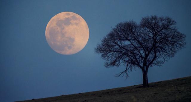 月亮和相思的诗