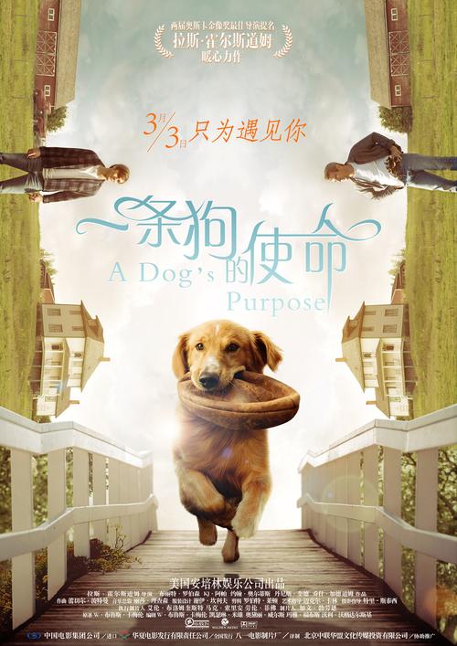 《一条狗的使命》终极预告海报双发 萌宠贝利四世轮