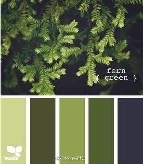 设计配色·color matching-花瓣网|陪你做生活的设计师 | 清爽的绿色