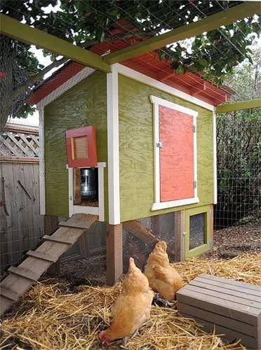 20款经典乡村庭院鸡舍设计方案,美观与实用同在!