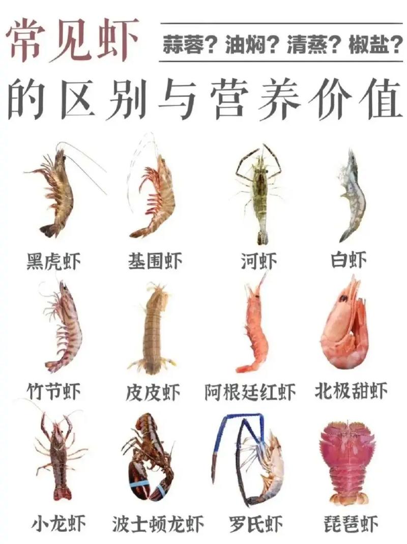 白虾和基围虾那个好吃.基围虾和白虾其实白灼都好吃.