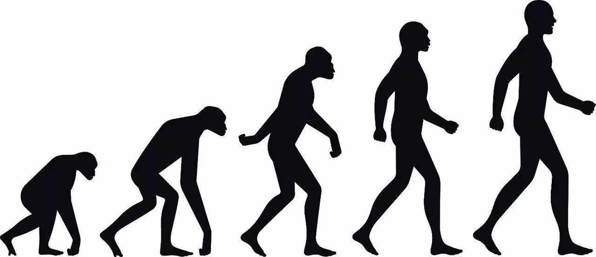前的猿人头骨告诉你不一样的人类进化史如果放任巴拿马猴子自行进化