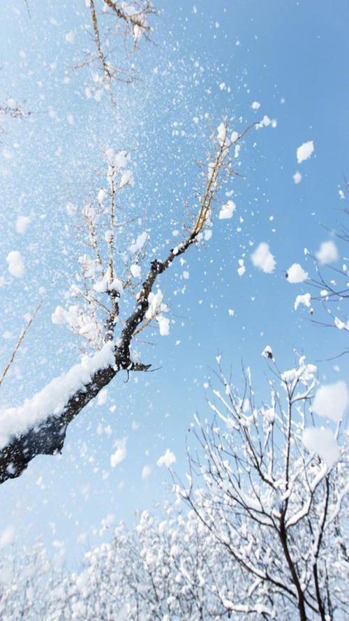 唯美动人雪景高清图片手机壁纸