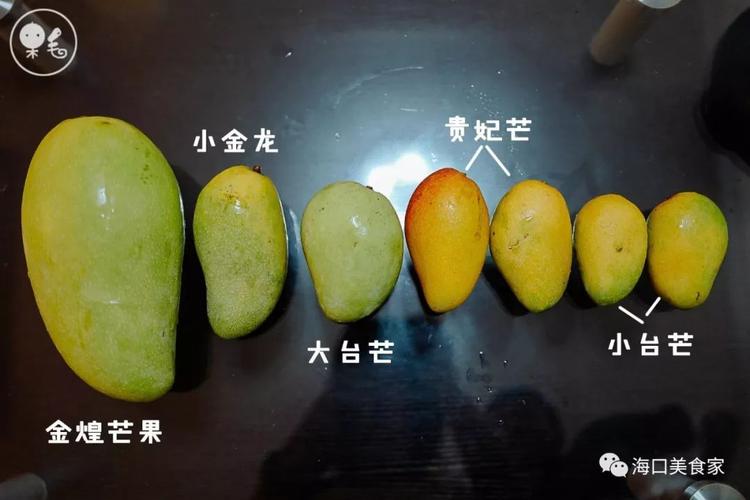 原来从不分芒果品种随便乱买的我 这次我特意买了市面上比较常见的6种