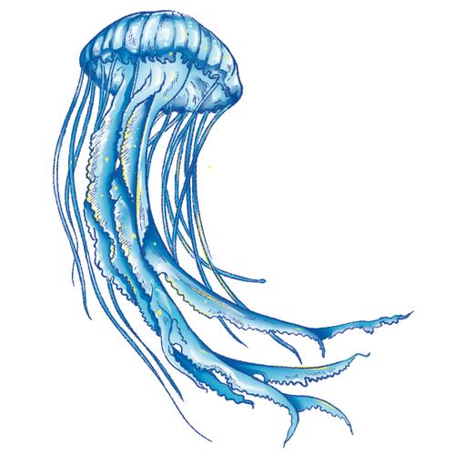海洋生物系列插画-古田路9号-品牌创意/版权保护平台