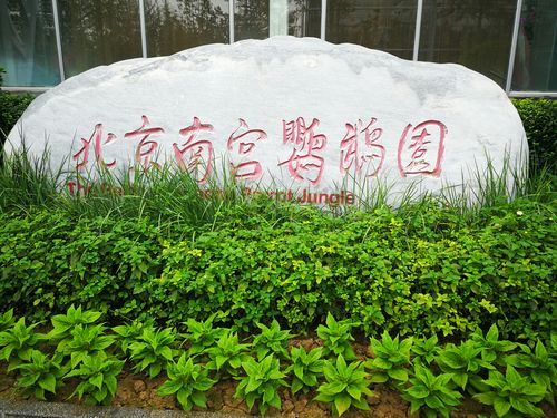 一次奇妙之旅---北京南宫鹦鹉园