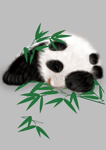 成都-熊猫
